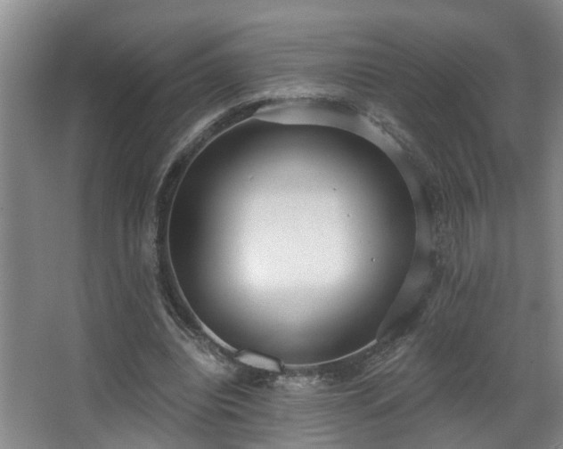 X0000068310440200604241407