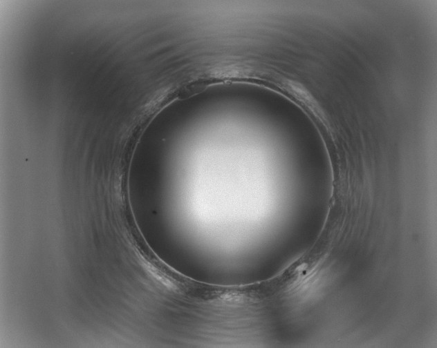 X0000068310441200604241407