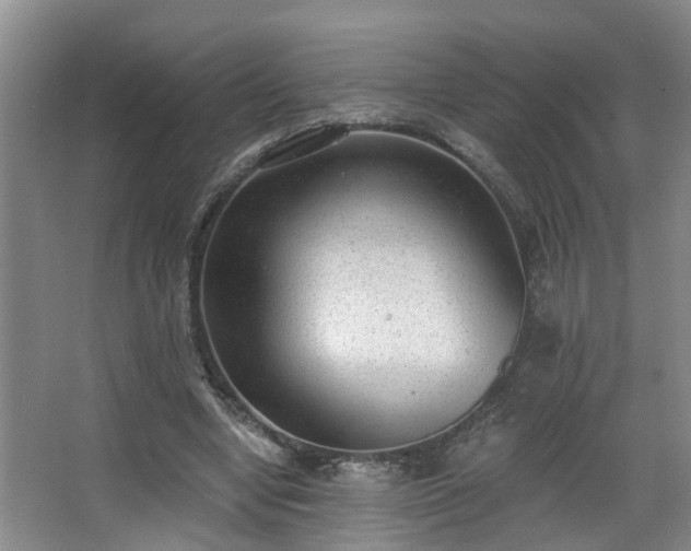 X0000068310442200604241407