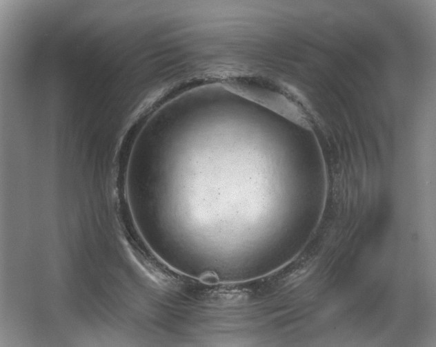 X0000068310443200604241407