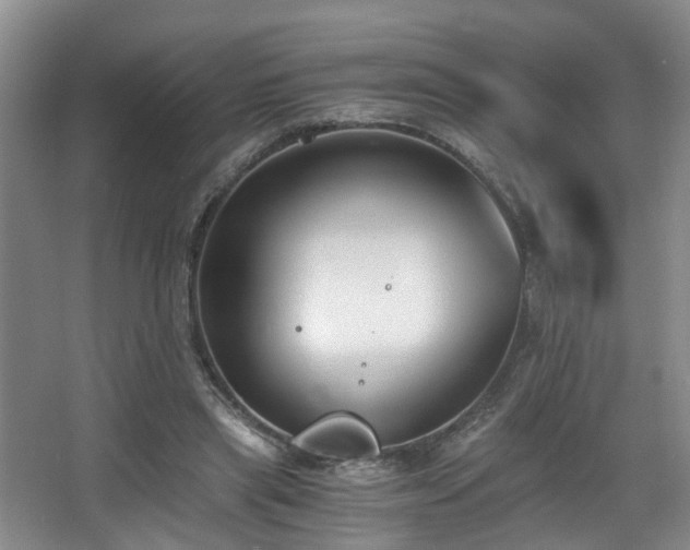 X0000068310445200604241407