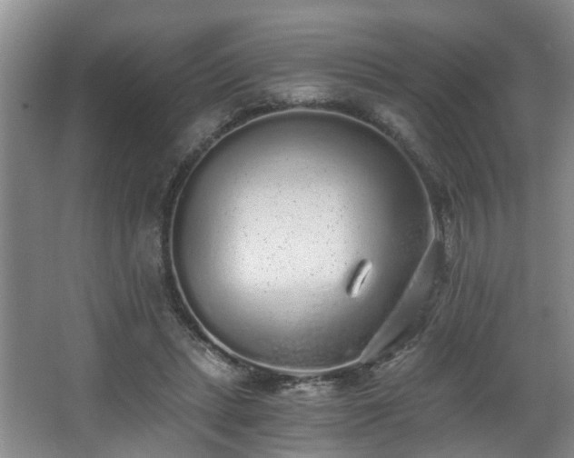 X0000068310447200604241407