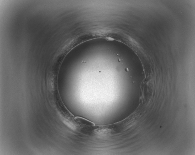 X0000068310452200604241407