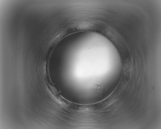 X0000068310454200604241407