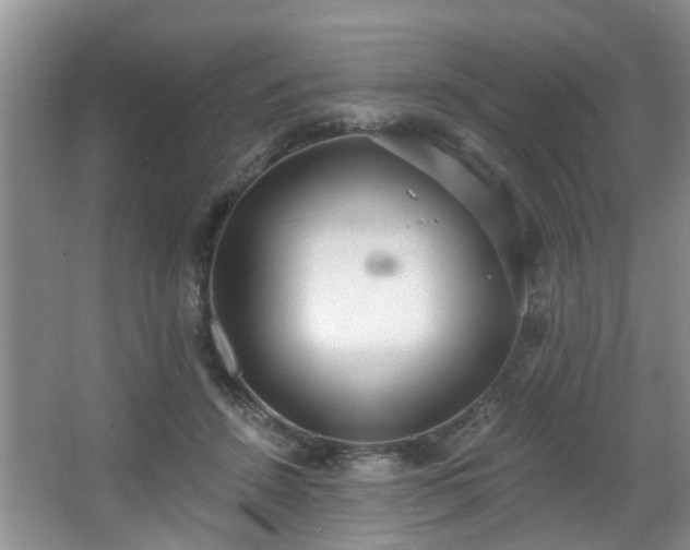 X0000068310456200604241407