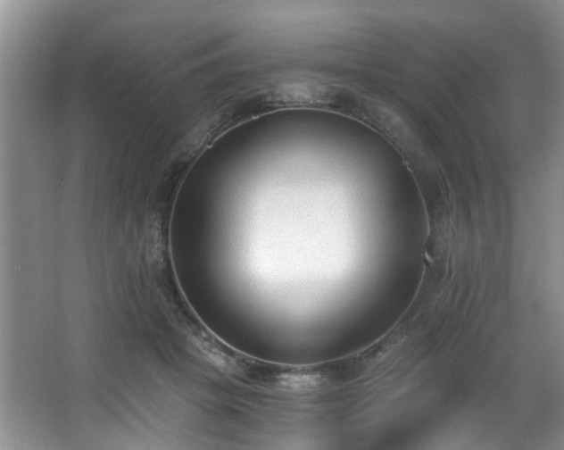 X0000068310457200604241407