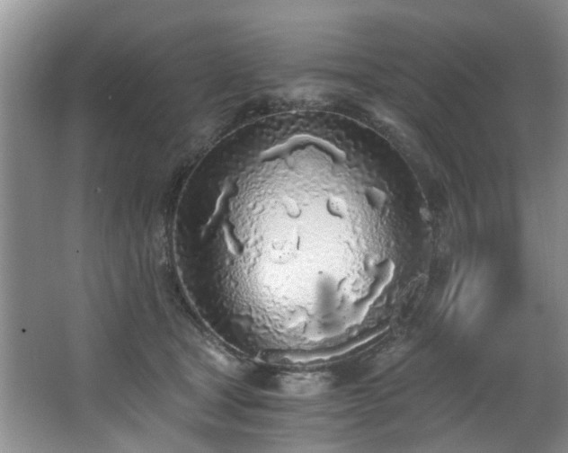 X0000068310465200604241407