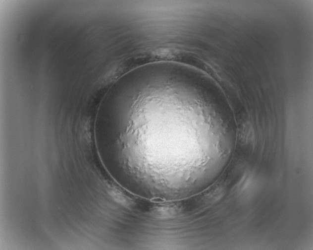 X0000068310466200604241407