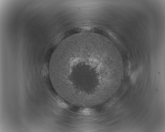 X0000068310467200604241408