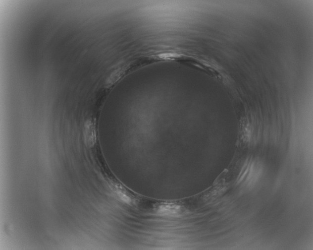 X0000068310471200604241408