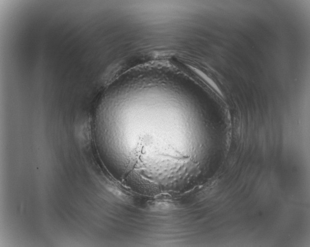 X0000068310475200604241408