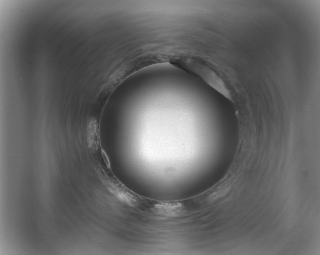 X0000068310480200604241408