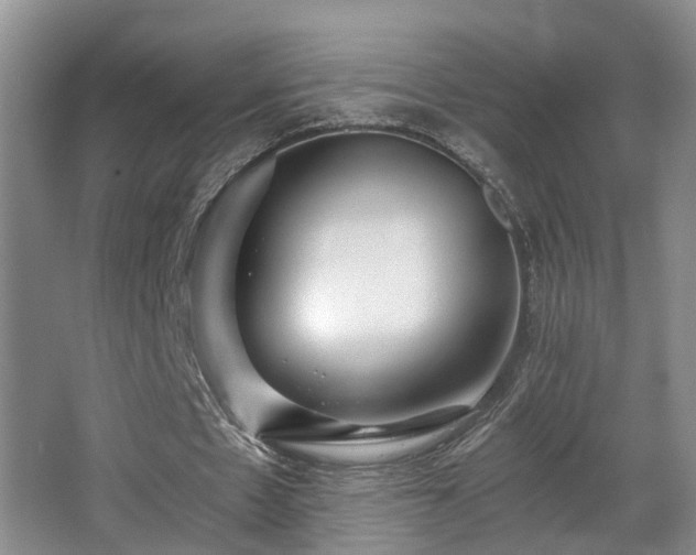 X0000068310481200604241407