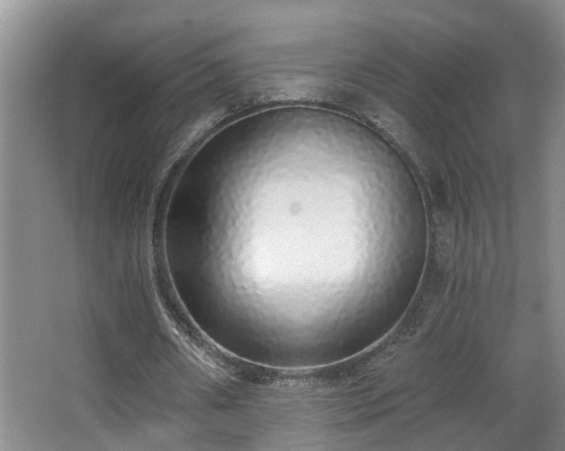 X0000068310482200604241407