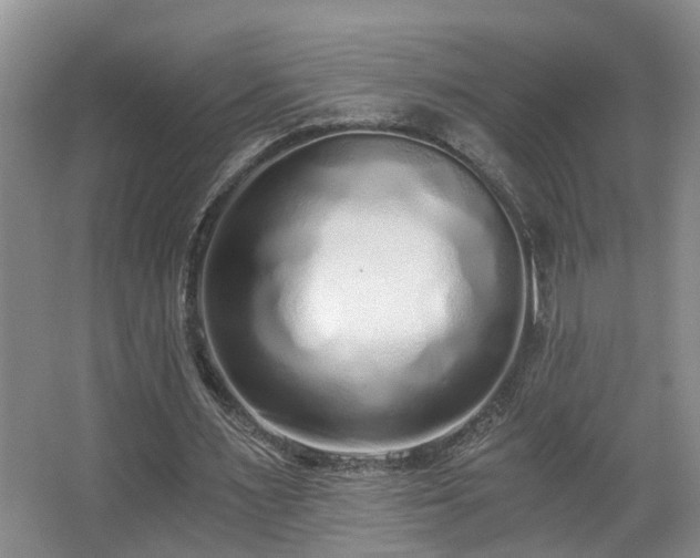 X0000068310483200604241407