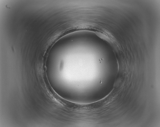 X0000068310485200604241407