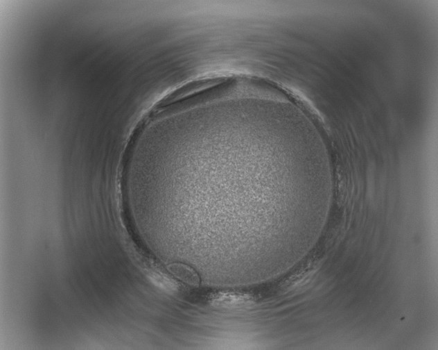 X0000068310487200604241407