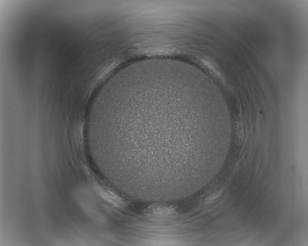 X0000068310491200604241407