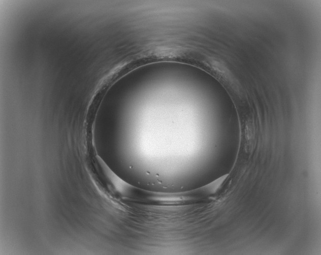 X0000068310492200604241407