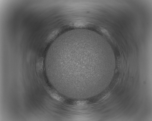 X0000068310495200604241407