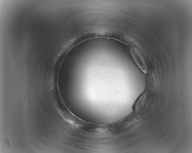 X0000068310496200604241407