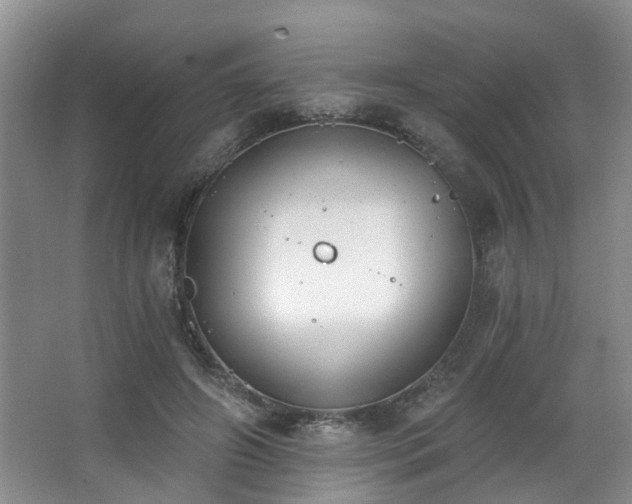 X0000068310498200604241407