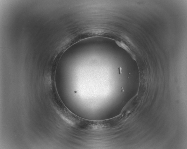 X0000068310500200604241407