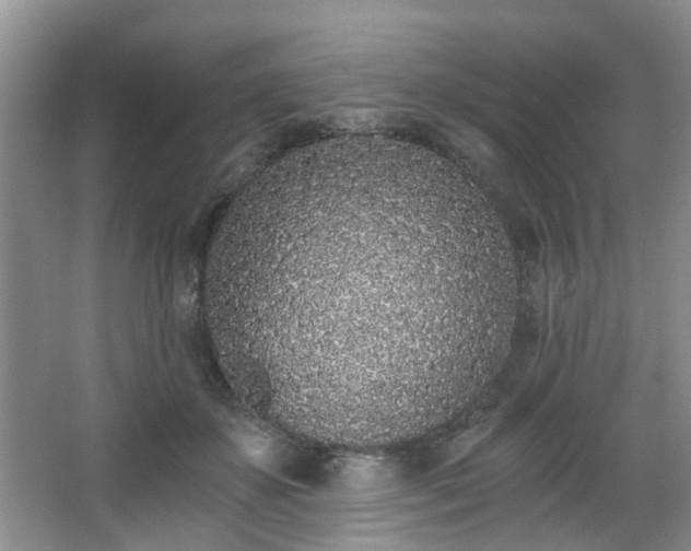 X0000068310507200604241406