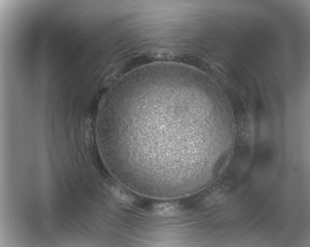 X0000068310511200604241406