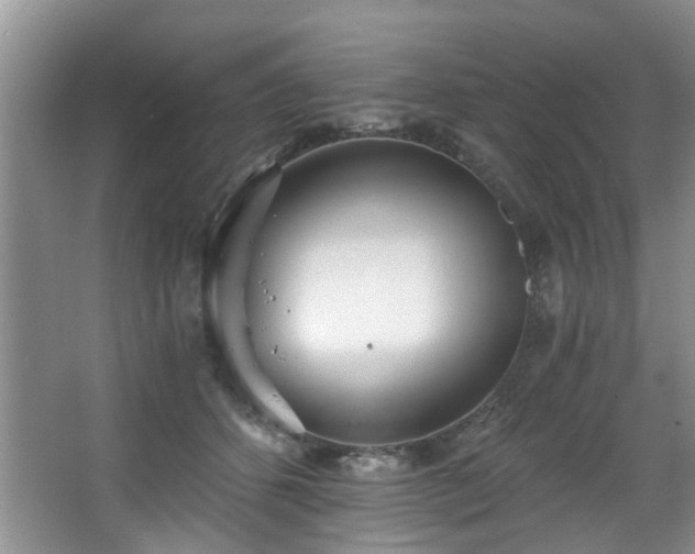 X0000068310512200604241406