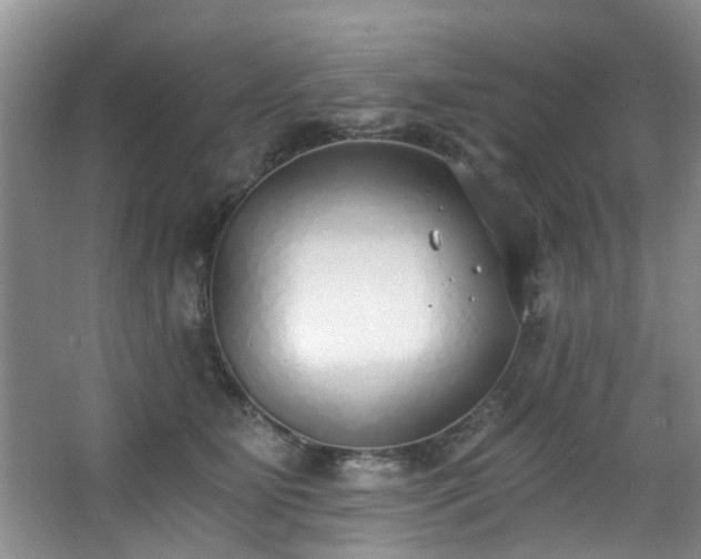 X0000068310515200604241406