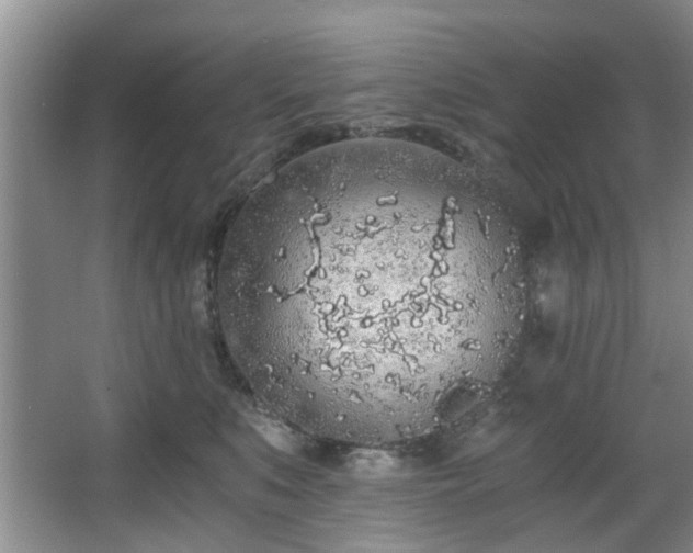 X0000068310519200604241406