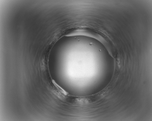 X0000068310520200604241406