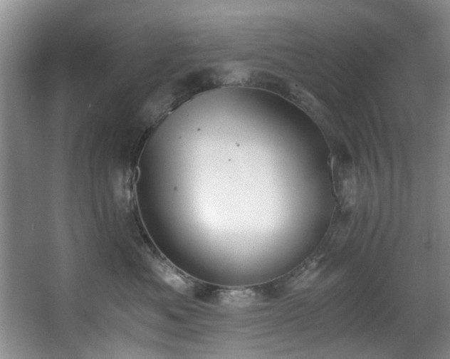 X0000068310525200604241406