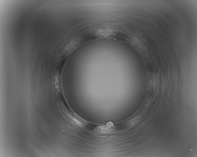 X0000068310526200604241406