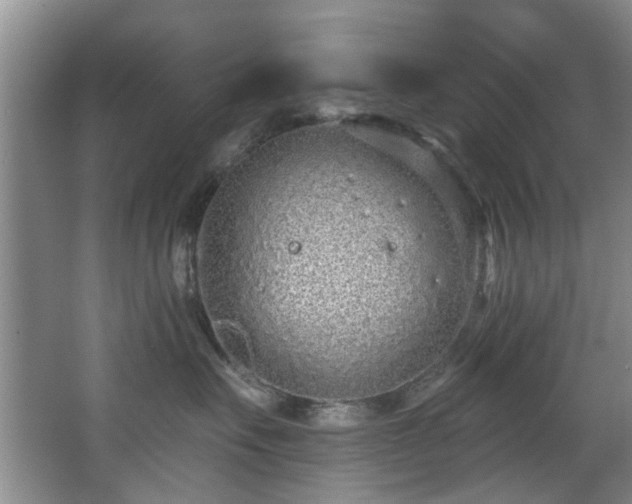 X0000068310527200604241406