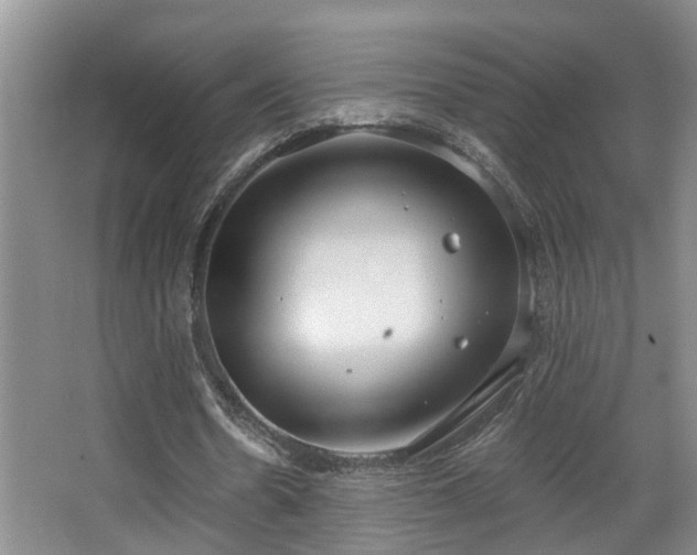 X0000068310530200604241405