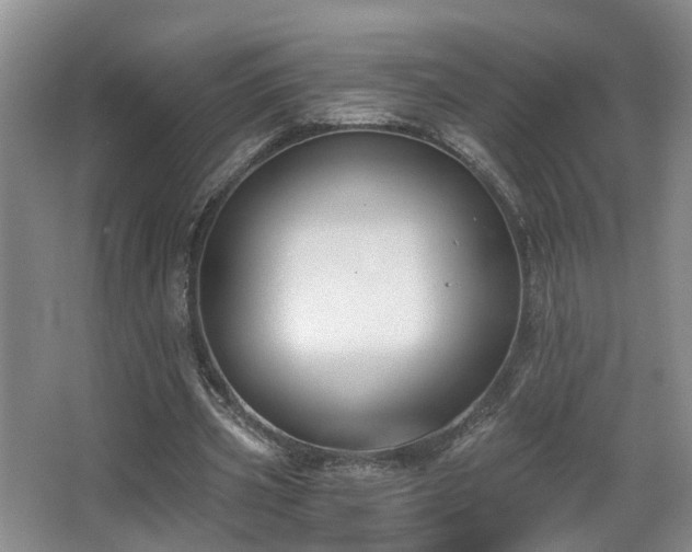 X0000068310533200604241405