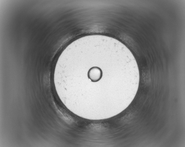 X0000068310534200604241405