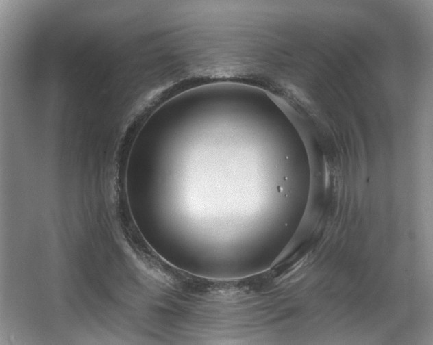 X0000068310540200604241405