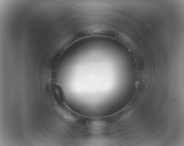 X0000068310546200604241406