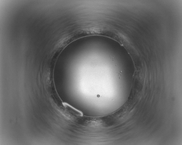 X0000068310548200604241406