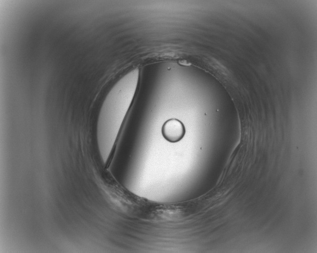 X0000068310552200604241406