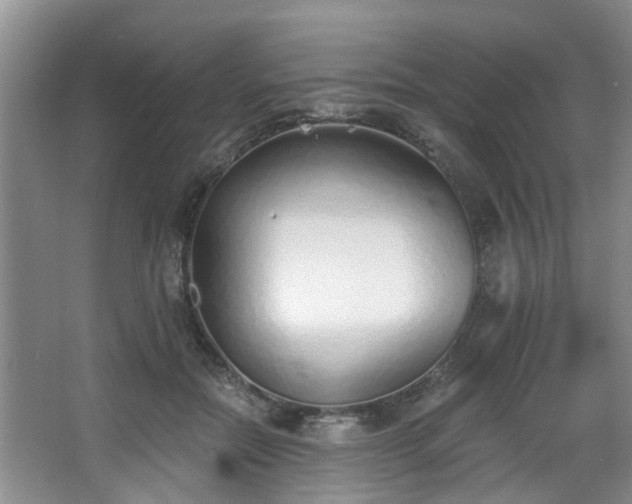 X0000068310554200604241406