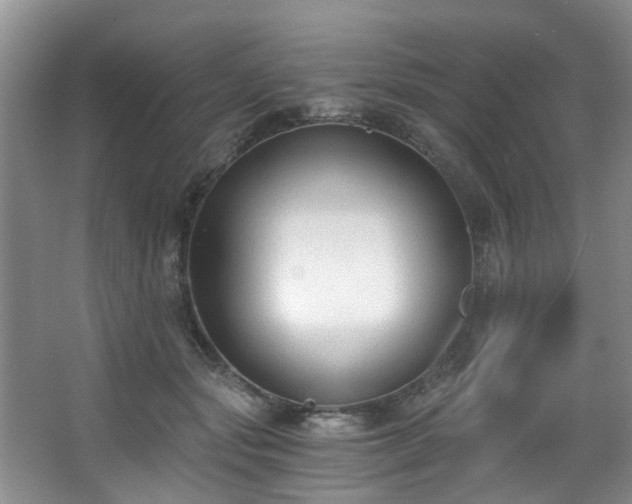 X0000068310557200604241406