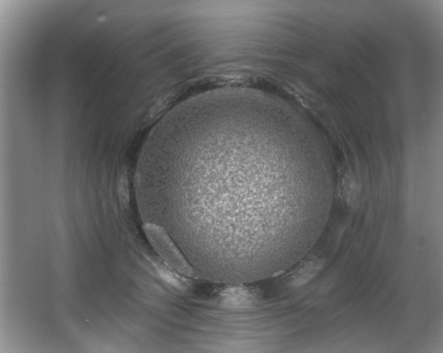 X0000068310562200604241406