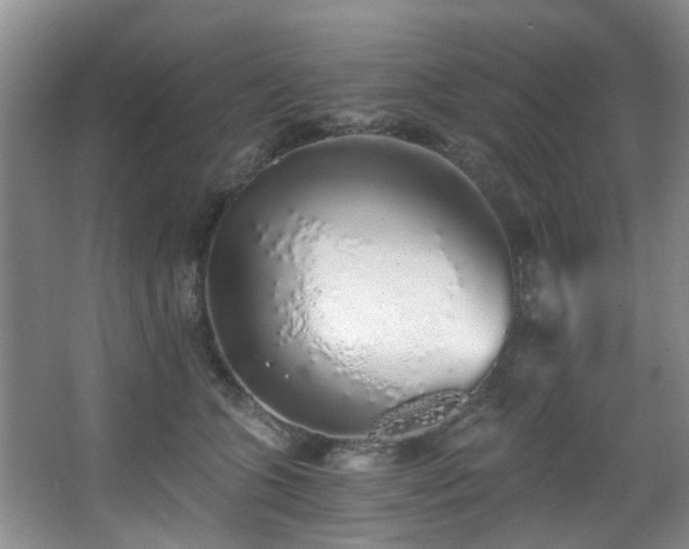 X0000068310563200604241406