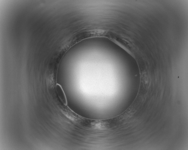 X0000068310564200604241406