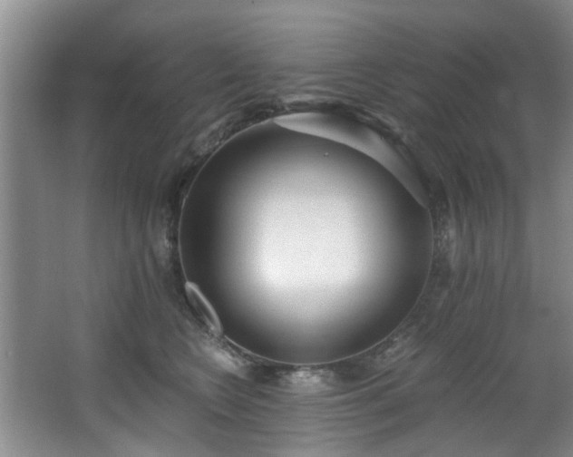 X0000068310566200604241406