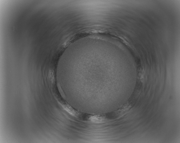 X0000068310568200604241406